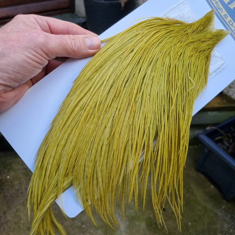 Whiting High and Dry Rooster Cape in Golden Olive-5